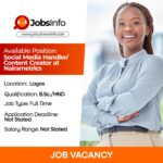 Social Media Handler / Content Creator at Nairametrics
