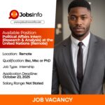 Political Affairs Intern (Research & Analysis) at the United Nations (Remote)