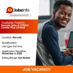 Remote Jobs at DTECH Centrix Plus Limited