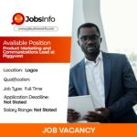 Product Marketing and Communications Lead at Piggyvest