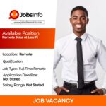 Remote Jobs at LemFi