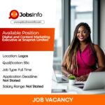 Digital and Content Marketing Executive at Snapnet Limited