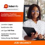 Executive Assistant at TeamAce
