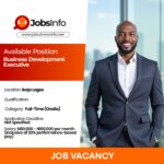 Business Development Executive