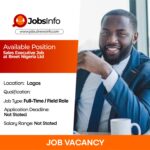 Sales Executive Job at Breet Nigeria Ltd
