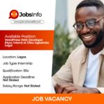 WordPress Web Developer (NYSC Intern) at Olisa Agbakoba Legal