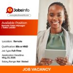 Remote Sales Manager / Sales Leader