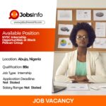 NYSC Internship Opportunities at Black Pelican Group