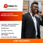 Remote Job at Metabase