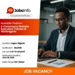 E-Commerce Website Executive Trainee at Worknigeria