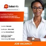 Social Media Management Intern (NYSC) at Lenar Medtech