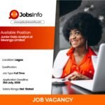 Junior Data Analyst at Mwanga Limited