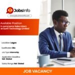 E-commerce Sales Intern at SunFi Technology Limited