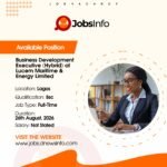 Business Development Executive (Hybrid) at Lucem Maritime & Energy Limited