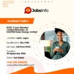 NYSC Corps Member (Online Marketer) at HAMTEM Solar Energy Limited