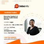 Executive Assistant at Denver Castle Global Services
